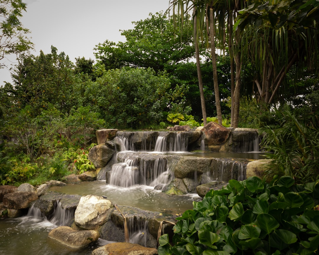 Guyana & Suriname: Unber&uuml;hrter Regenwald & Wasserf&auml;lle
