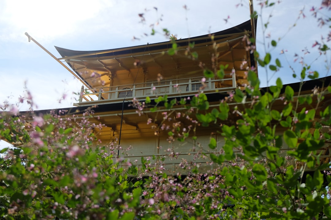 Japan: Tempel, Kirschbl&uuml;ten & Megacities
