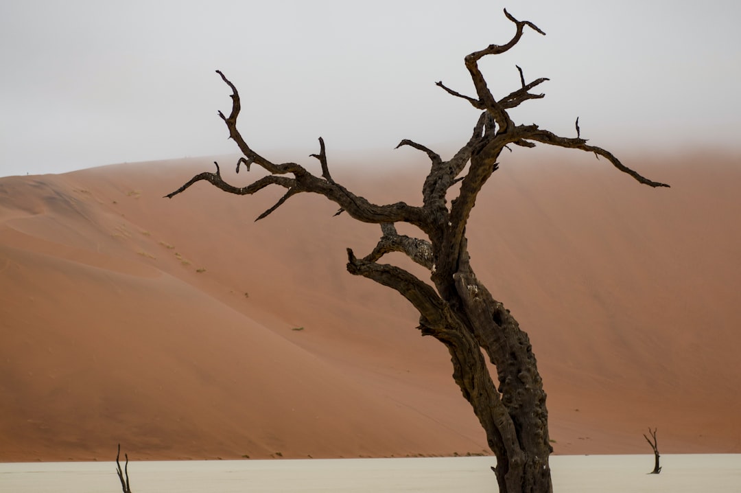 Namibia Highlights (Standard)