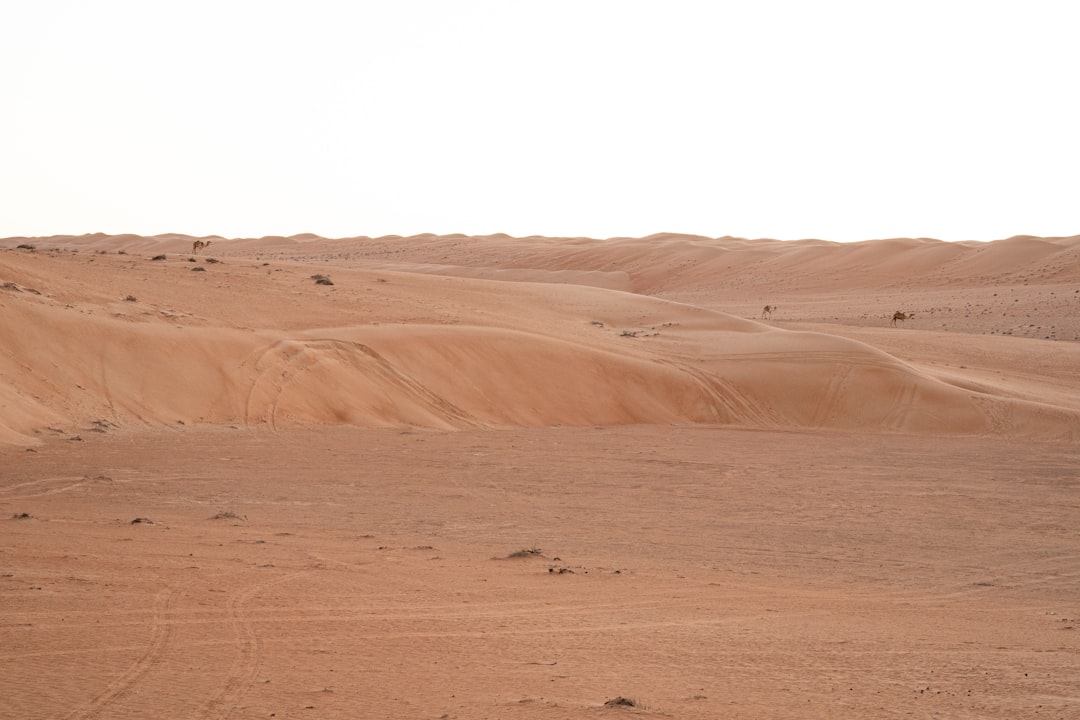 Sonne, Sand & Sultanat: Oman