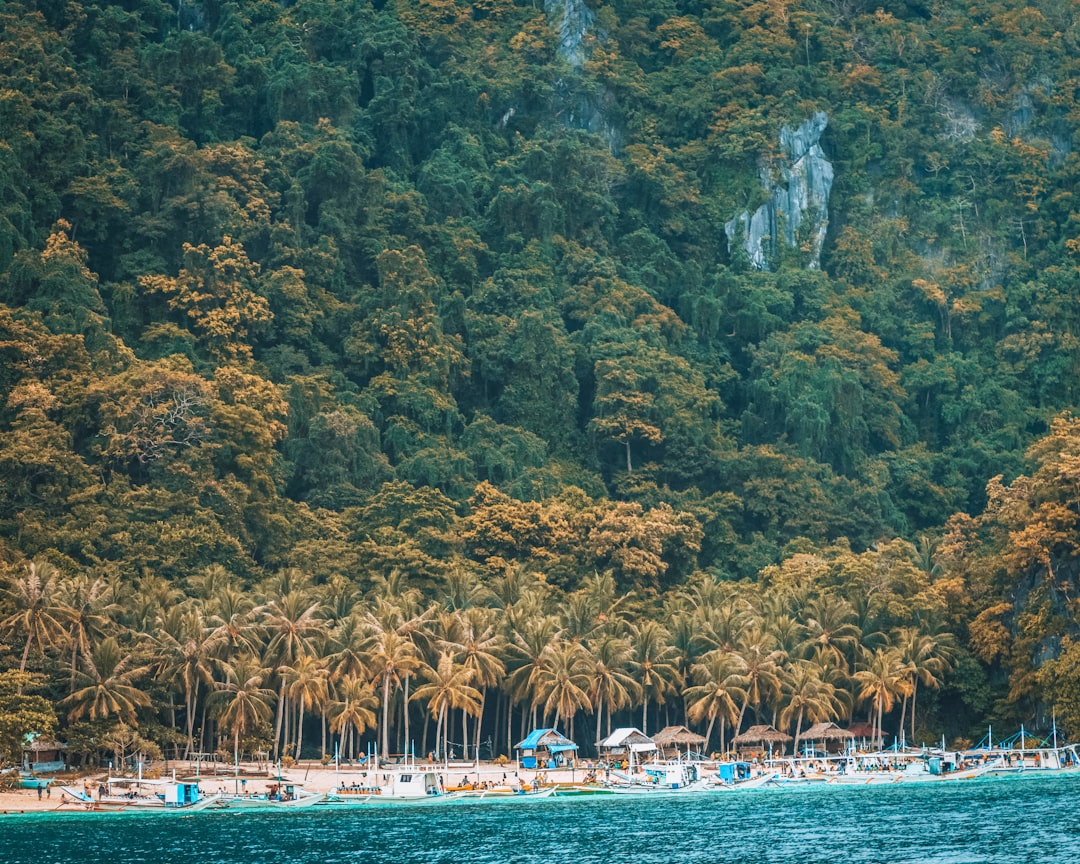 Palawan: T&uuml;rkise Lagunen & Inselparadies