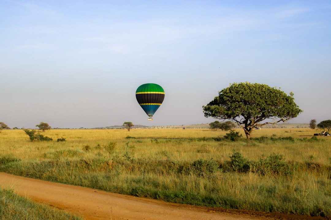 Tansania Fly-In: Safari aus der Vogelperspektive
