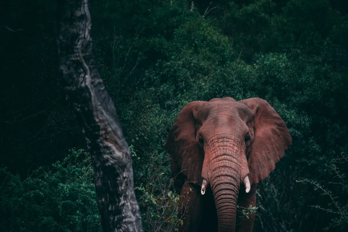 Botswana