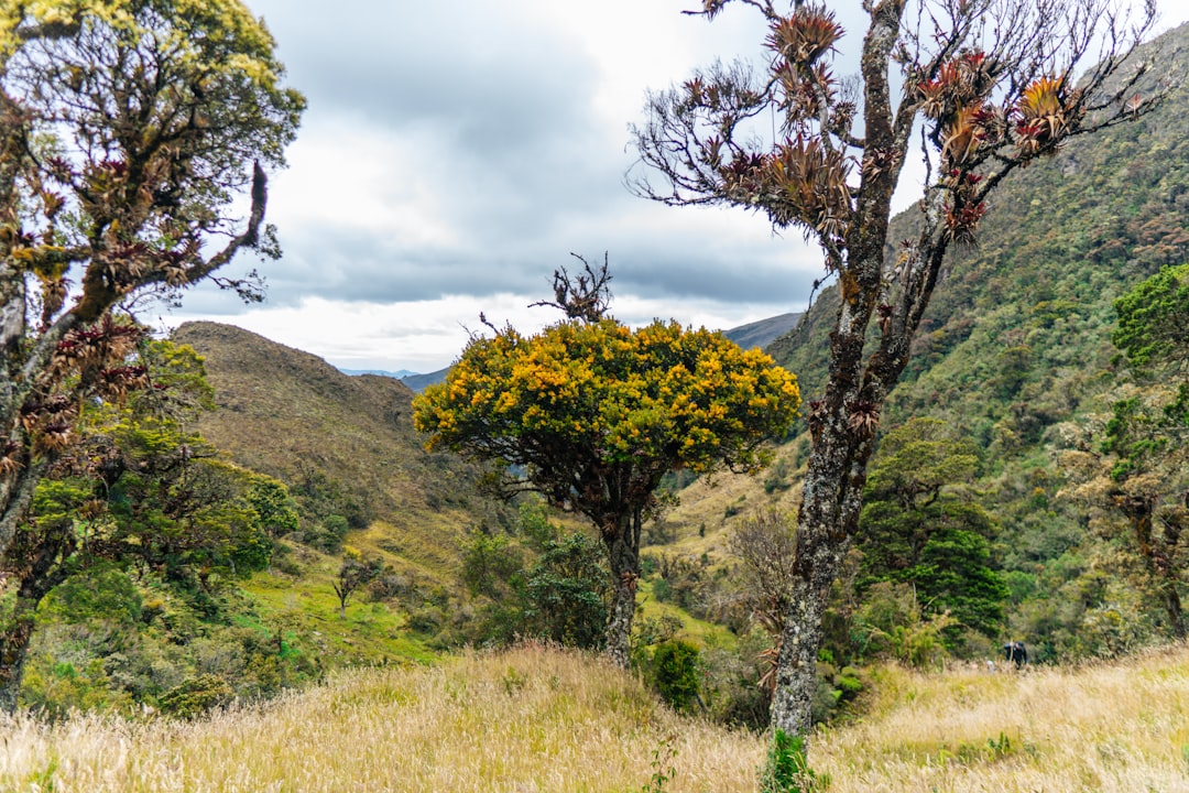 Ecuador