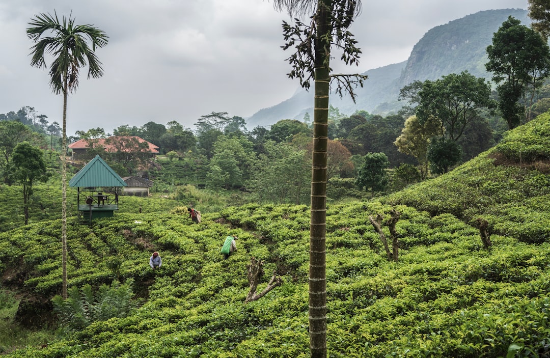 Sri Lanka